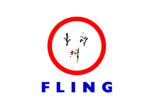 Flag of FLING